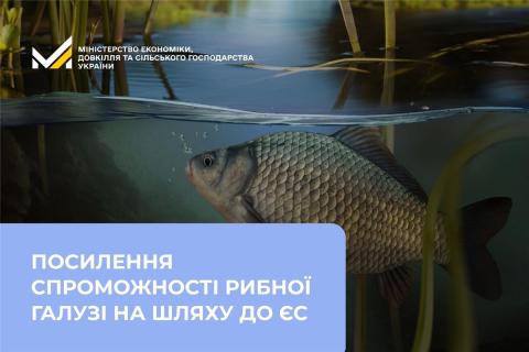 Ви зараз переглядаєте В Одесі обговорили посилення спроможності рибної галузі на шляху до ЄС