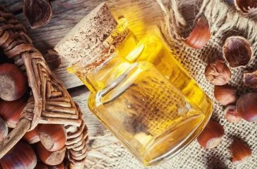 Ви зараз переглядаєте На Київщині виробляють органічну олію з фундука