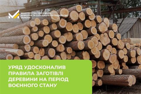 Ви зараз переглядаєте Кабмін оновив порядок заготівлі деревини на період воєнного стану
