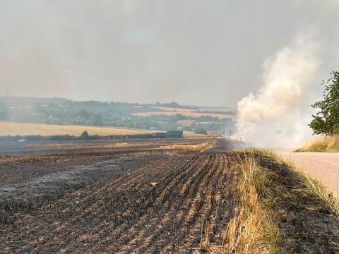 Ви зараз переглядаєте У Німеччині через спеку й посуху вигоріло близько 20 тис. м² поля: фермер допомагав гасити трактором із культиватором