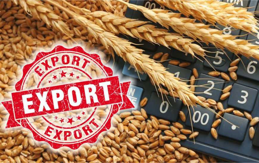 Ви зараз переглядаєте Агроекспорт: Україна переорієнтовується на ринки Близького Сходу, Північної Африки та Туреччини
