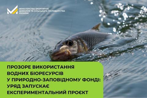 Ви зараз переглядаєте Уряд запускає експериментальний проєкт для прозорого використання водних біоресурсів у ПЗФ