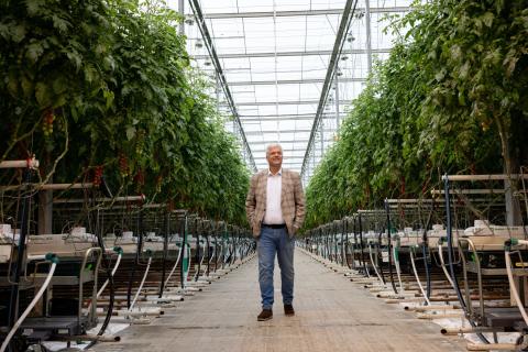 Ви зараз переглядаєте Harvest House: тепличне овочівництво робить ставку на «зелене» вирощування, роботизацію та дані