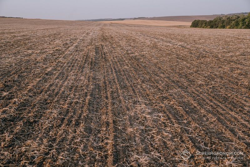 Ви зараз переглядаєте Ціни на землю в Україні продовжують зростати, найдорожчі регіони Івано-Франківщина, Київщина та Львівщина