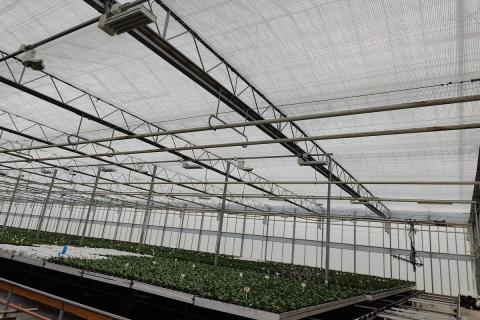 Ви зараз переглядаєте У теплицях Venlo в Англії оновили систему затінення: 14 168 м² модернізували без зупинки виробництва