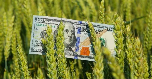 Ви зараз переглядаєте Україна щороку втрачає мільярди через експорт агросировини
