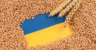 Ви зараз переглядаєте ЄС став головним покупцем українського зерна