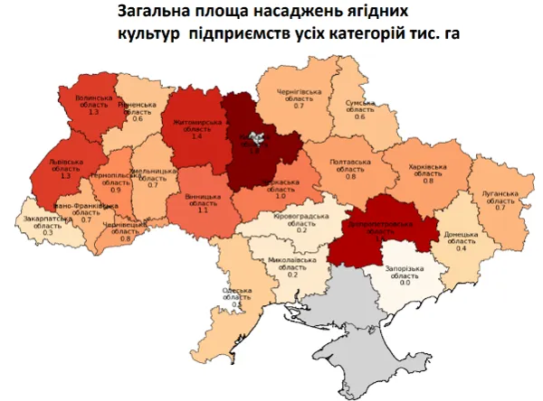 Українське ягідництво у 2026 році: що очікувати галузі і для кого сезон буде успішним2