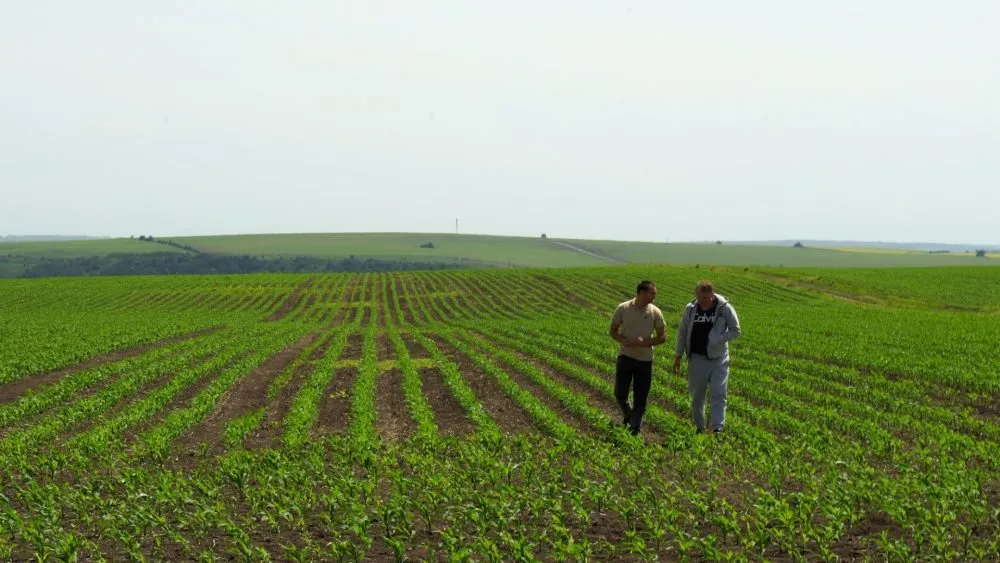 Ви зараз переглядаєте Продаж сільгоспземлі: що загрожує власнику за порушення прав орендаря