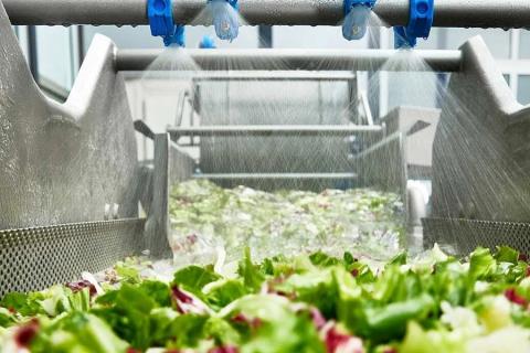 Ви зараз переглядаєте Німецька Gartenfrisch Jung використовує обладнання Kronen для миття та нарізання fresh-cut продукції
