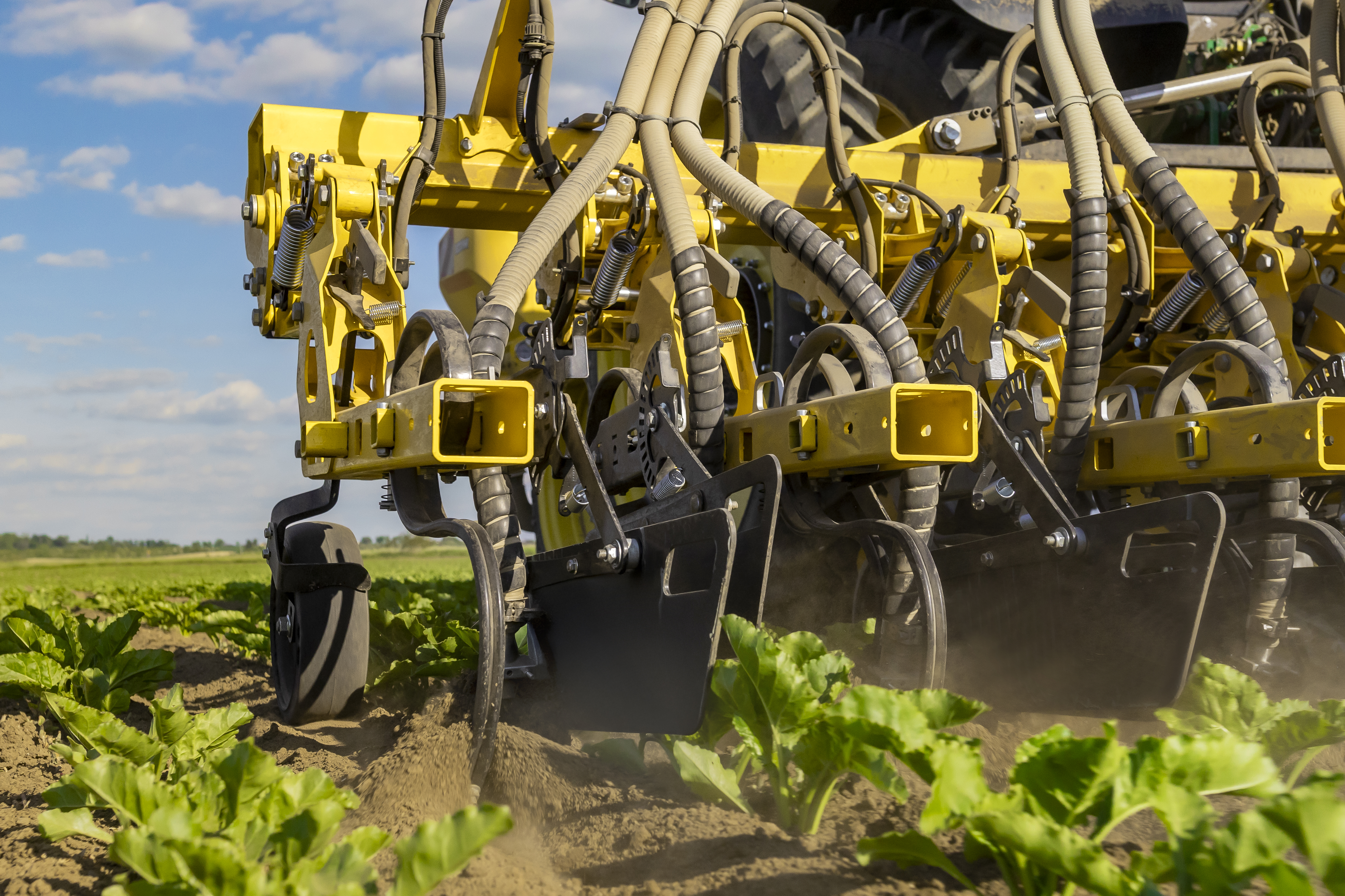 ROW-MASTER RN_PROFI з функцією John Deere AutoPath: точний міжрядний обробіток ґрунту нового покоління2