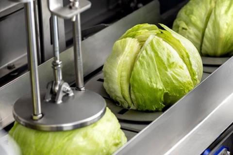 Ви зараз переглядаєте Британський виробник салатів Natures Way Foods автоматизував вирізання кочериги айсберга на базі Sormac OptiCor