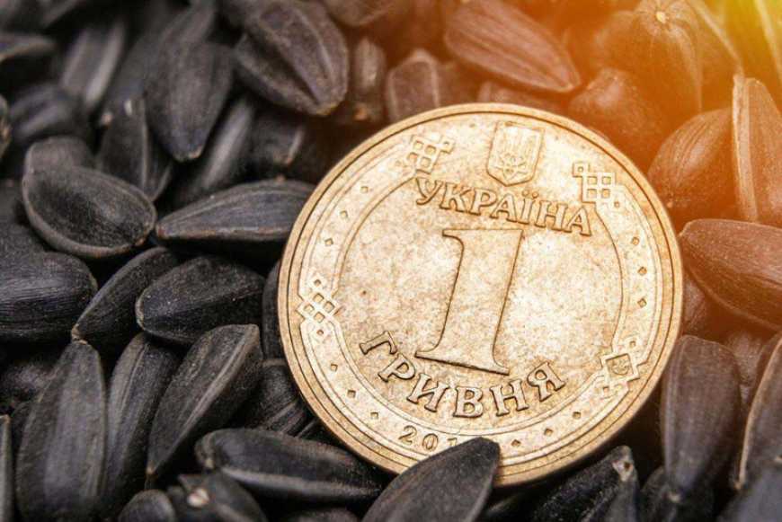 Ви зараз переглядаєте Ринок соняшнику: ціни в Україні зросли