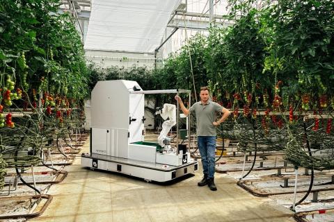 Ви зараз переглядаєте Нідерландський виробник Van Noord Growers розширює використання робота Harvester для збирання китицевих томатів