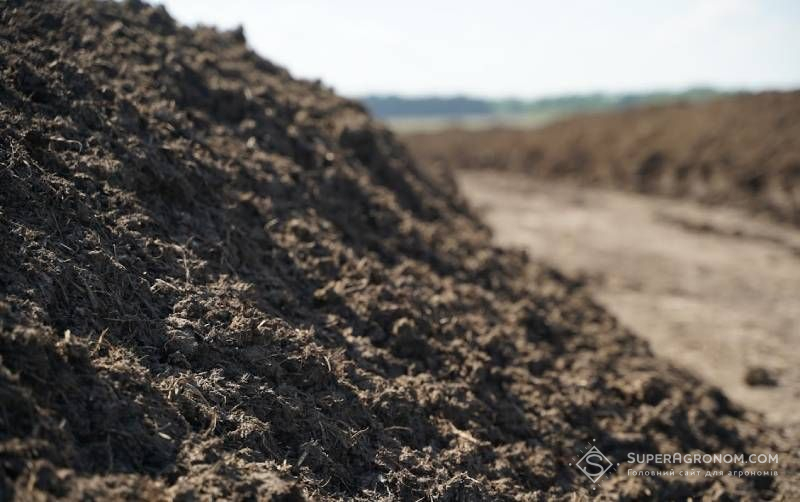 Ви зараз переглядаєте Гній та послід: експерти пояснили, від чого залежить поживна цінність органічних добрив