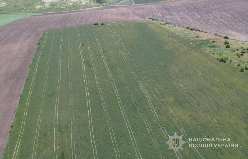 Ви зараз переглядаєте На Одещині судитимуть фермера за самовільне захоплення 119 га комунальної землі