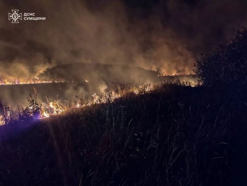 Ви зараз переглядаєте На Сумщині через атаки дронів РФ знищено ареали рідкісних рослин