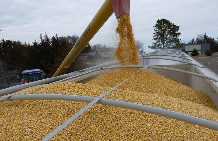Ви зараз переглядаєте Порти готові до зростання експорту, але бізнесу стає дедалі дорожче працювати – TIS