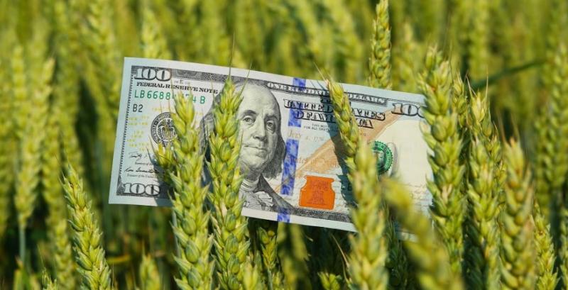 Постраждалий від війни бізнес може отримати до $5 тисяч на розвиток Постраждалий від війни бізнес може отримати до $5 тисяч на розвиток