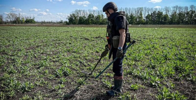 Розмінування деокупованих територій Харківщини 