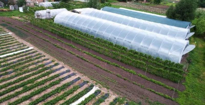 Фермерське господарство «СтоЯгідка»