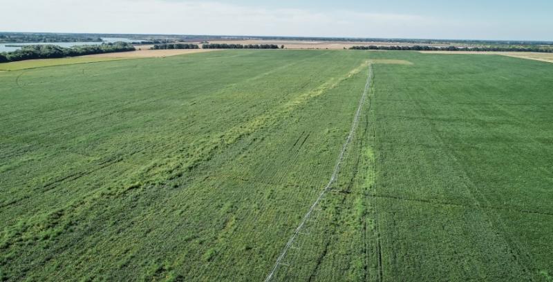 В Україні прогнозують подальше зростання цін на сільгоспземлю у 2026 році В Україні прогнозують подальше зростання цін на сільгоспземлю у 2026 році