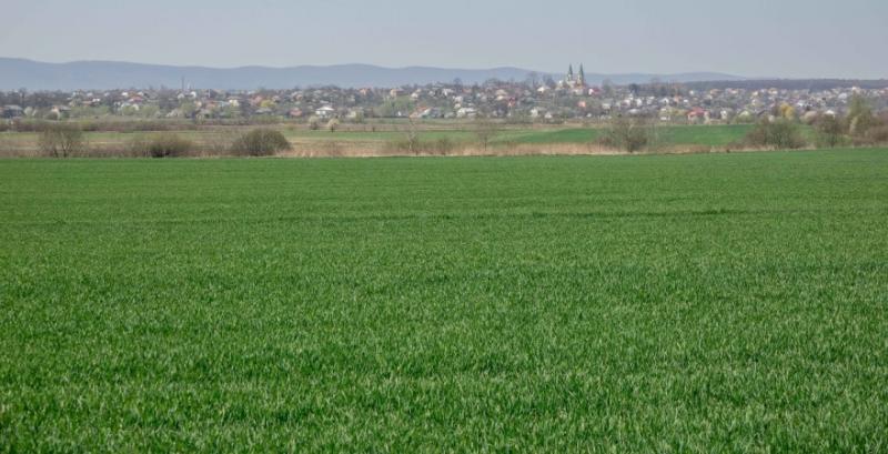 В Україні затвердили нові критерії для визначення критичності підприємства
