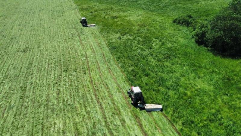 Ви зараз переглядаєте Вирощування багаторічних трав в Агрейн формує кормову базу та покращує ґрунт