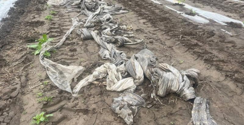Злива змила систему поливу та розсаду кавунів на полі фермера з Черкащини Злива змила систему поливу та розсаду кавунів на полі фермера з Черкащини