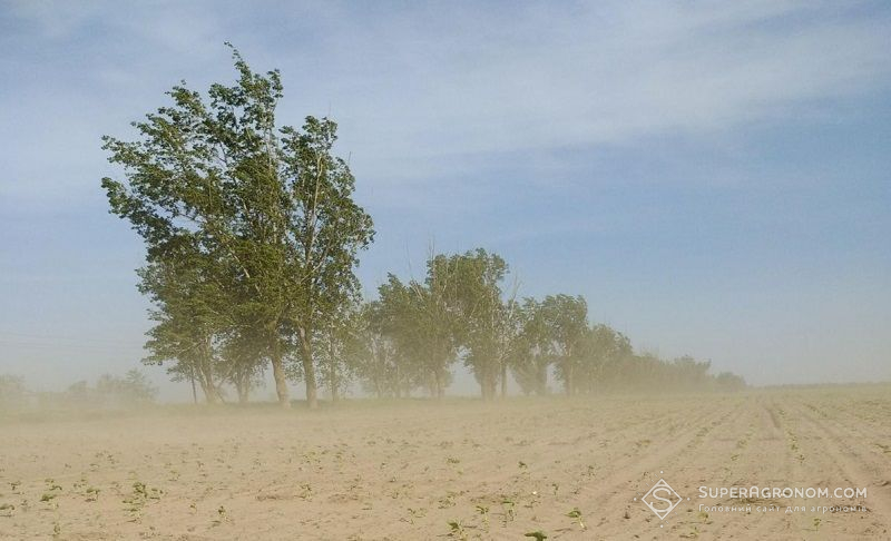 Ви зараз переглядаєте Зміни клімату змушують відмовлятися від традиційних культур на Півдні
