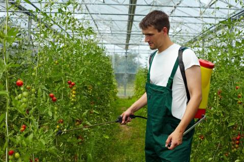 Ви зараз переглядаєте У Франції дозволили біофунгіцид AXPERA: ANSES видала 15-річну реєстрацію