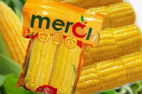 Ви зараз переглядаєте Індійський експортер Mersel Foods наростив постачання вакуумованої солодкої кукурудзи до Європи та готує новий завод у Нашику