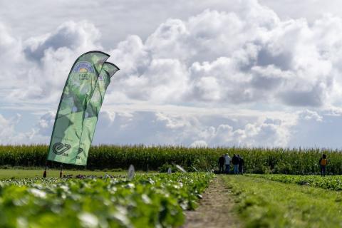 Ви зараз переглядаєте У Нідерландах на Discovery Field Days у Twisk покажуть салати з резистентністю до Nasonovia та Bremia