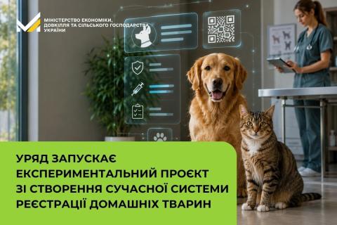 Ви зараз переглядаєте Кабмін запускає експериментальний проєкт зі створення системи реєстрації домашніх тварин