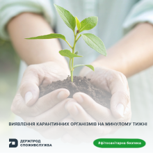 Ви зараз переглядаєте Фітосанітарна безпека: за тиждень проведено 13 907 аналізів відібраних зразків