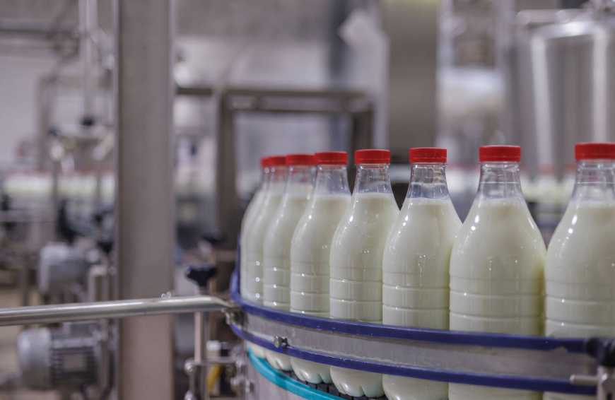 Ви зараз переглядаєте Світові ціни на молочну продукцію розвернулися вгору