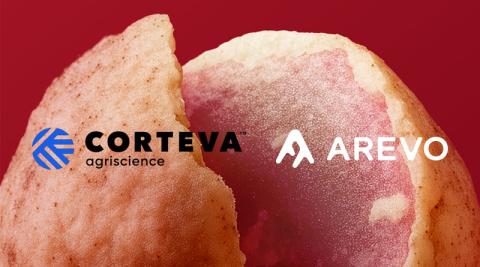 Ви зараз переглядаєте Corteva та Arevo домовилися про просування Arginex Soy для сої на європейському ринку