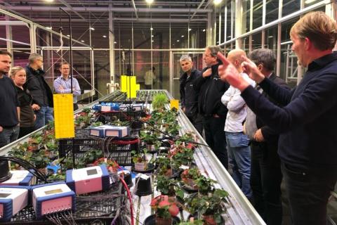 Ви зараз переглядаєте У Нідерландах протестували моніторинг «біосигналів» полуниці для раннього виявлення дефіциту азоту й калію
