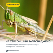 Ви зараз переглядаєте На Херсонщині запровадили особливий режим захисту рослин через поширення саранових