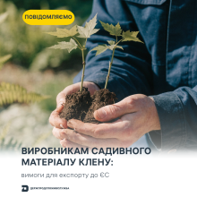 Ви зараз переглядаєте Експорт садивного матеріалу клену до ЄС: які вимоги мають виконати виробники