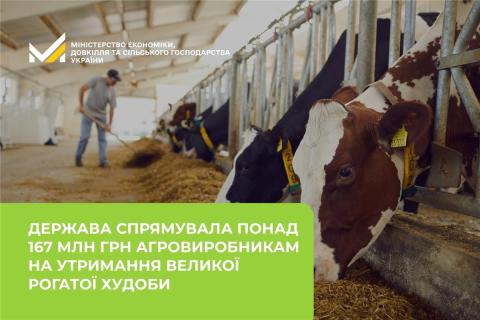 Ви зараз переглядаєте Держава спрямувала понад 167 млн грн агровиробникам на утримання великої рогатої худоби