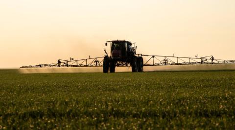 Ви зараз переглядаєте EPA у США схвалила низку нових пестицидів і розширила застосування хлормекват-хлориду — на тлі зауважень щодо ризиків