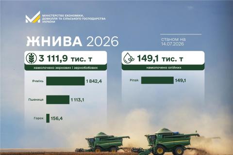 Ви зараз переглядаєте Жнива 2024 в Україні: перші результати збору ранніх зернових