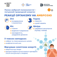 Ви зараз переглядаєте Сезон цвітіння амброзії в Україні: здоров’я та аграрні втрати