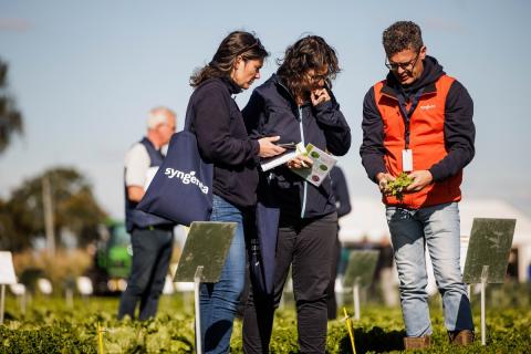 Ви зараз переглядаєте Syngenta на Fields of Innovation 2026 покаже нове покоління стійкості до кили капустяних і протруйник-стимулятор Epivio Energy