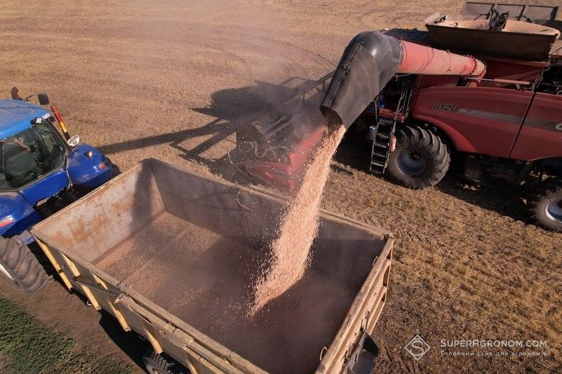 Ви зараз переглядаєте Ціноутворення на зерновому ринку: чинники падіння цін на українську пшеницю