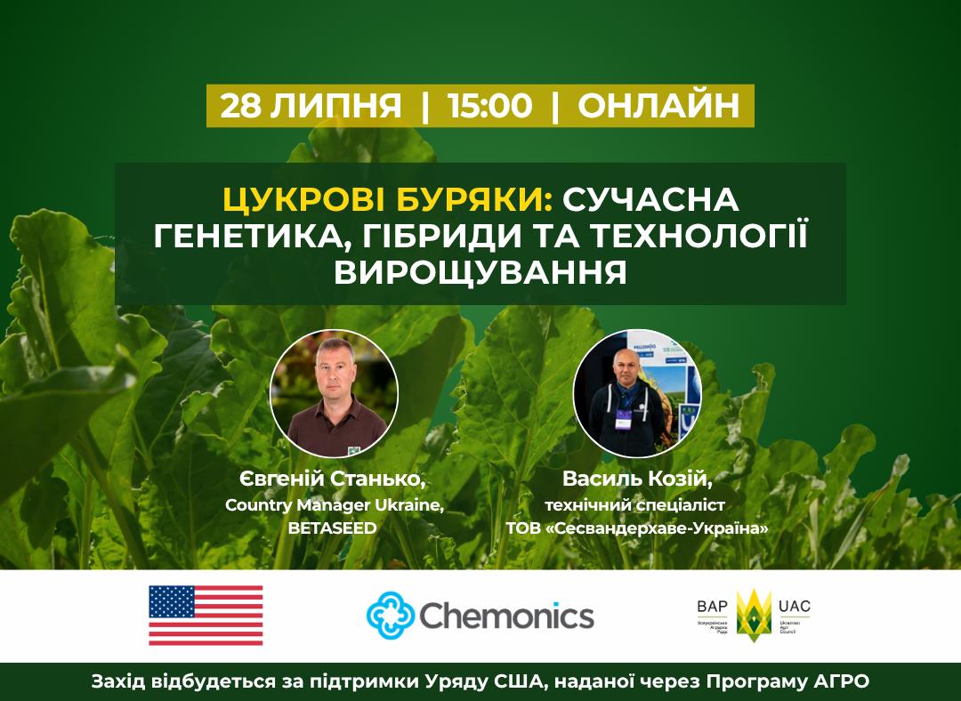 Ви зараз переглядаєте Цукрові буряки: сучасна генетика, гібриди та технології вирощування