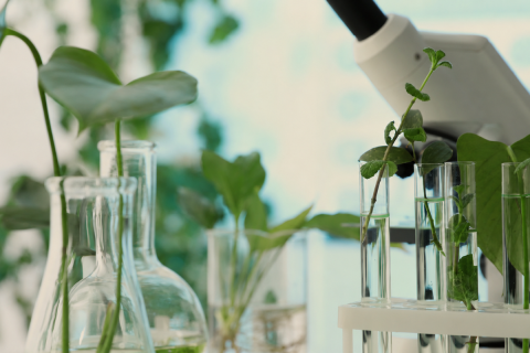 Ви зараз переглядаєте Veganic представила NeoPrime® і лінійку Plant Primers для «фізіологічного тренування» рослин перед стресами