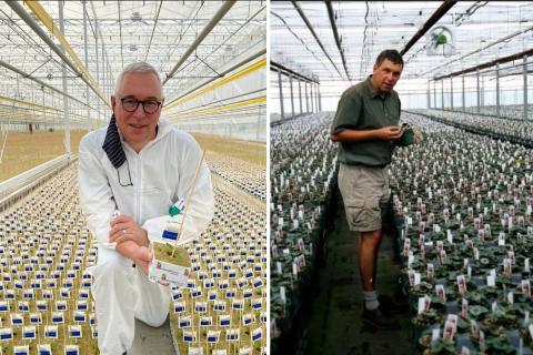Ви зараз переглядаєте 40 років біоконтролю: чому ефективний IPM починається зі зміни підходу в господарстві
