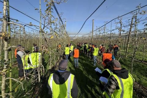 Ви зараз переглядаєте В Австралії зимова серія Future Orchards 2026 зосередилась на управлінні навантаженням урожаю в яблуневих і грушевих садах